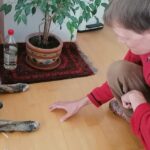 Clemens Pistauer mit einem schwarz-grauen Hund, den er kurz zuvor energetisch behandelt hat.