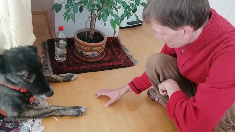 Clemens Pistauer mit einem schwarz-grauen Hund, den er kurz zuvor energetisch behandelt hat.