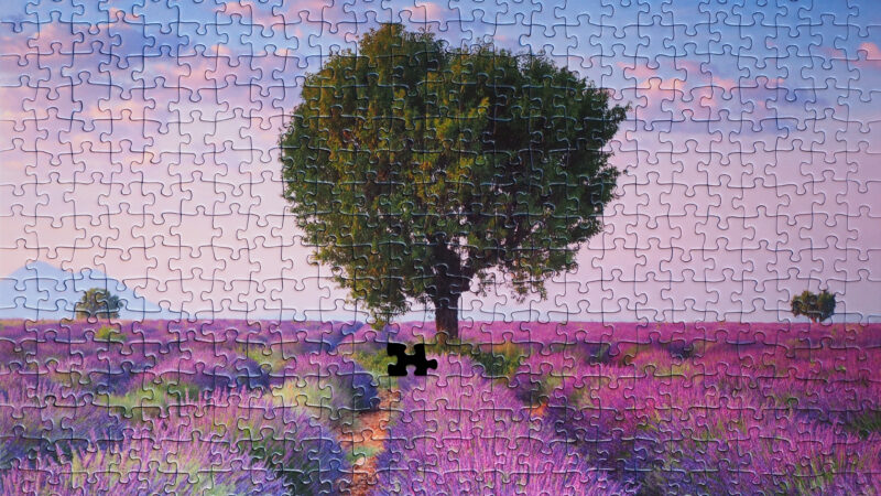 Ein Lavendelfeld mit einem Baum in der Mitte in Form eines Puzzles. Im Zentrum des Bildes fehlt ein Puzzleteil.