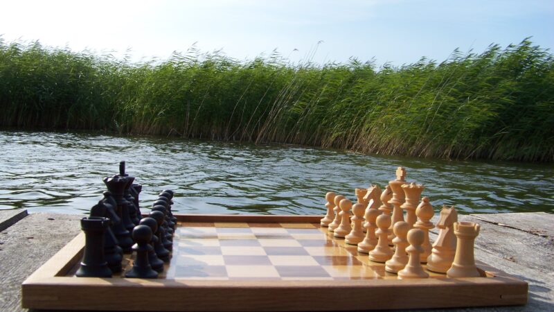 Ein Schachbrett in Grundaufstellung steht idyllisch auf einem Bootssteg in einem dunkelgrünen Gewässer. Im Hintergrund wächst Schilf.