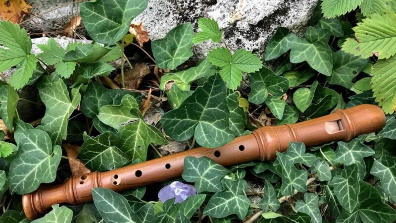 Ein Amethyst und eine Blockflöte liegen auf einem Stein inmitten von Erdbeerblättern.