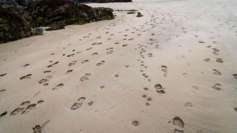 An einem Strand sieht man im Sand viele Fußspuren, die in verschiedene Richtungen gehen, und sich weiterhinten teilweise auch wieder überschneiden.